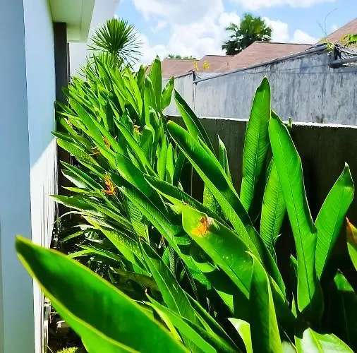 Cyber Jungle Villa Canggu