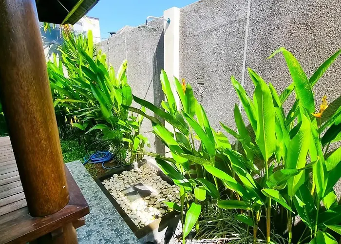 Cyber Jungle * Canggu